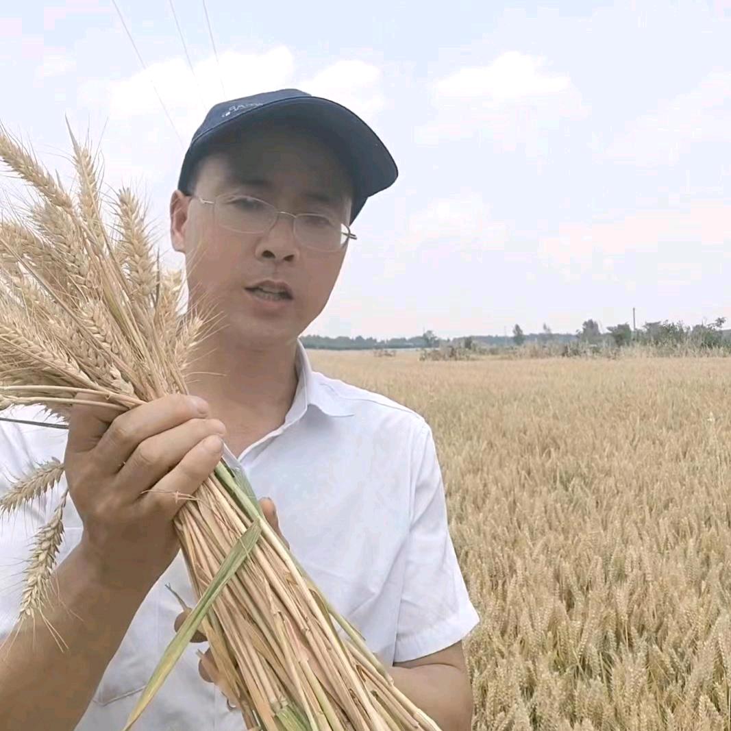 赵哥养殖