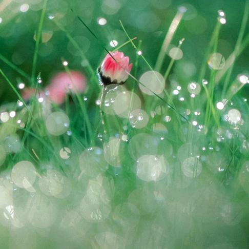 风雨后