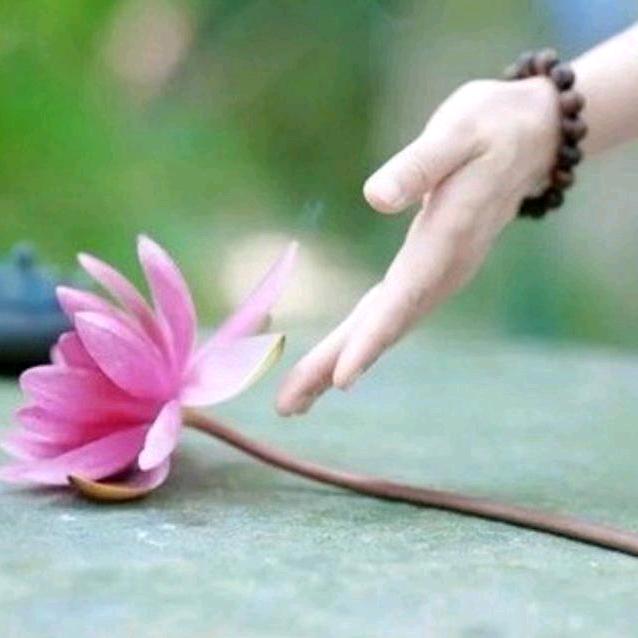墨诗安然（橱窗有好物）