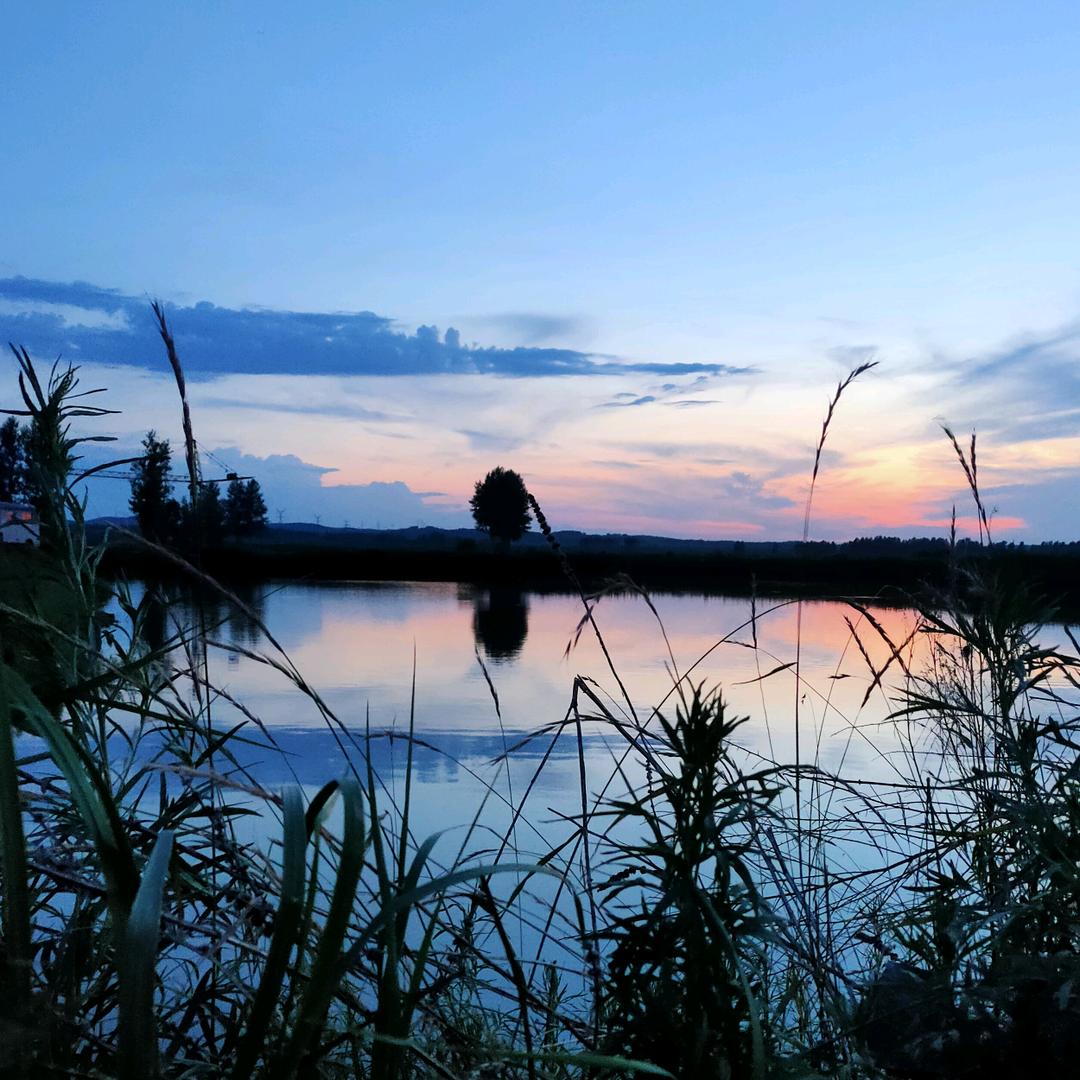 本人姓杨✔心地善良