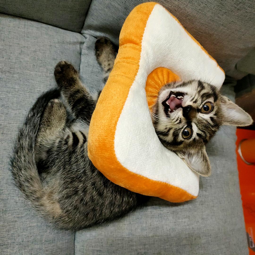 干嘛