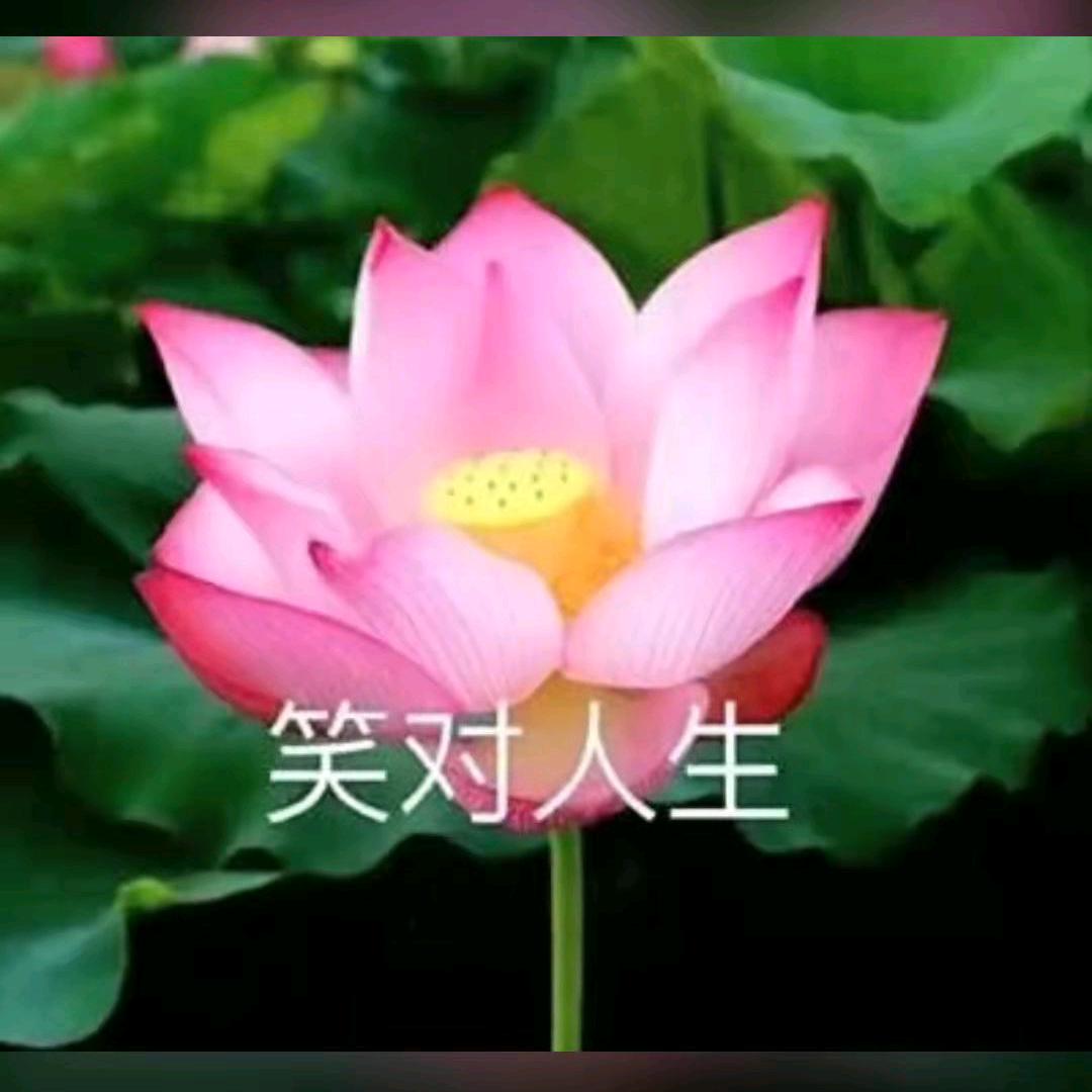 从头在来