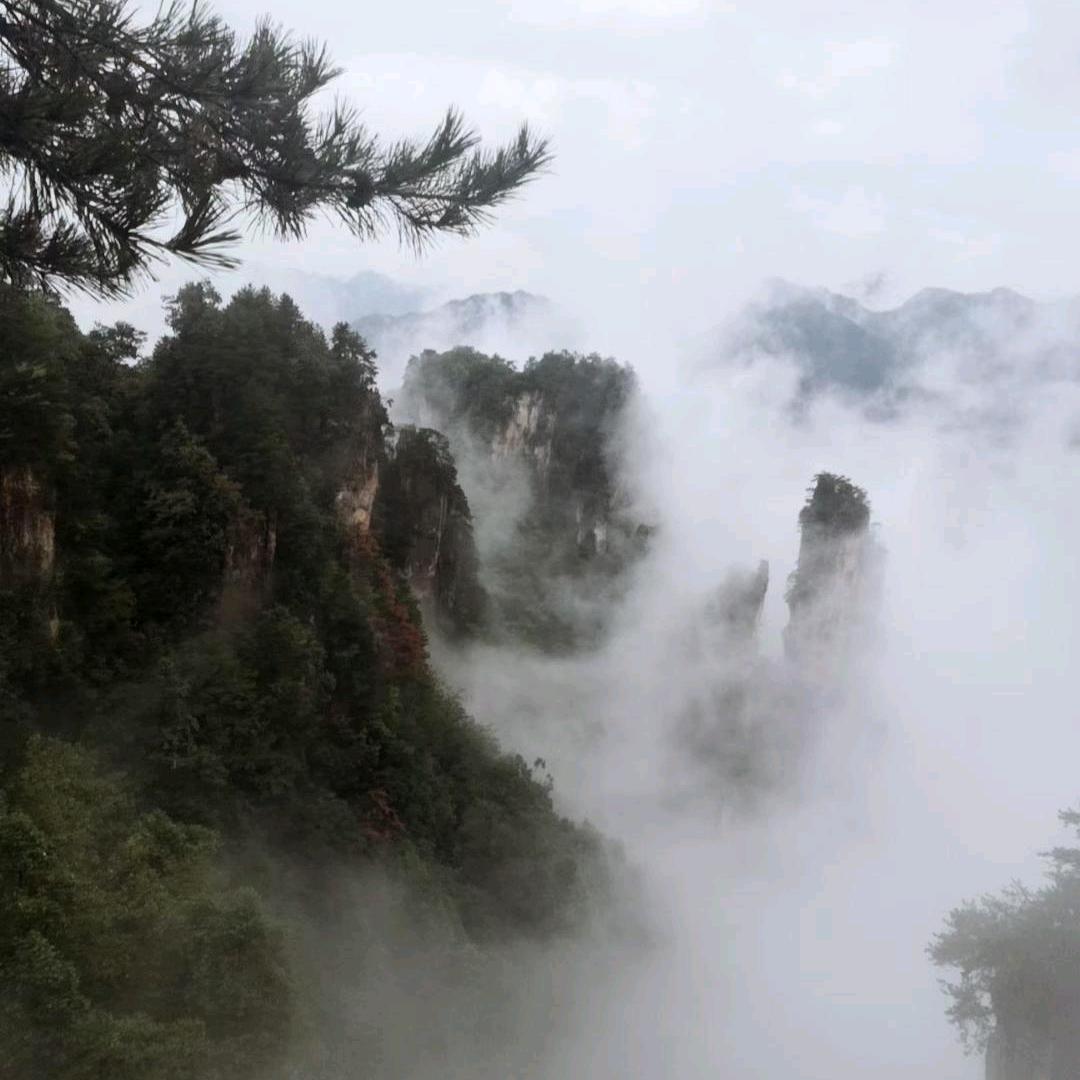 我笨善良