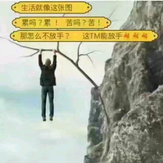 找有缘人🎂