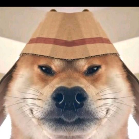 奥利给给头像