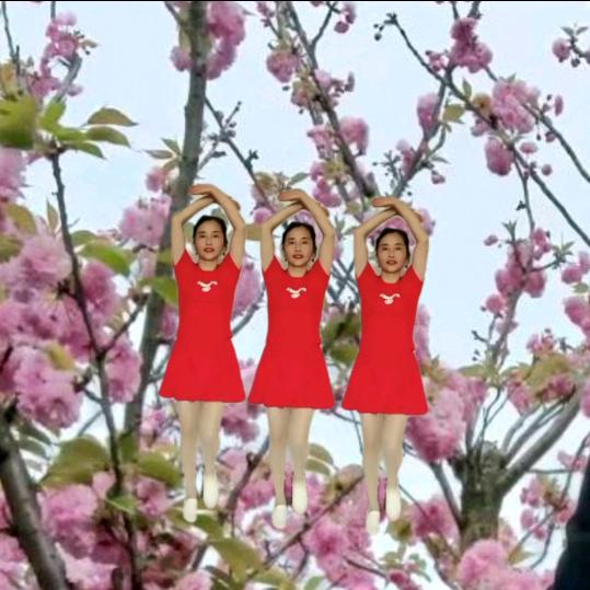 缘分天空🌹🐉🍎