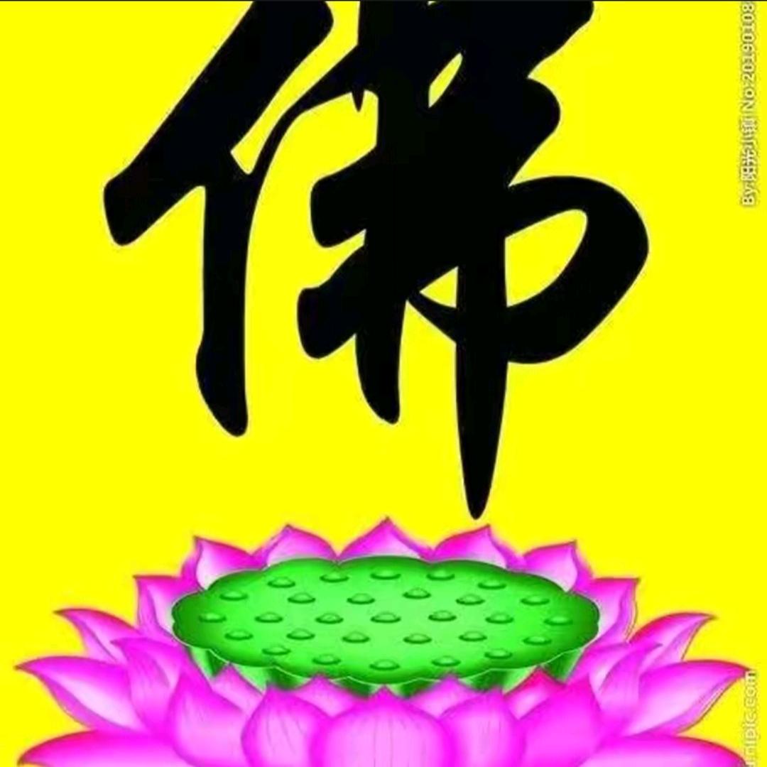 欢喜一生结善缘