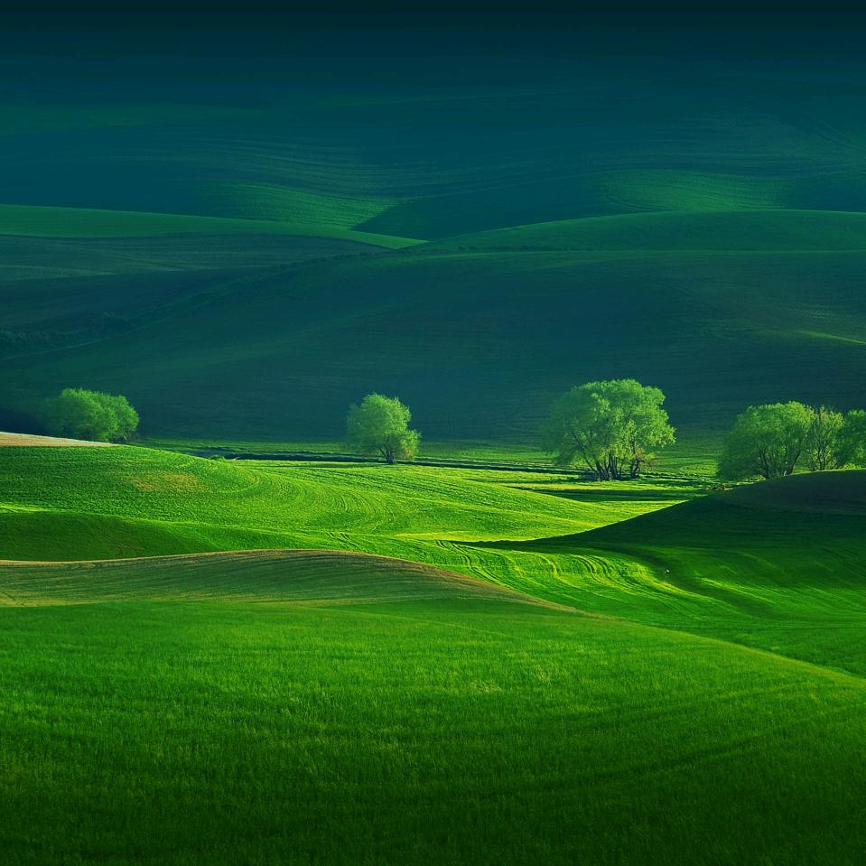 一路顺风耗子尾汁