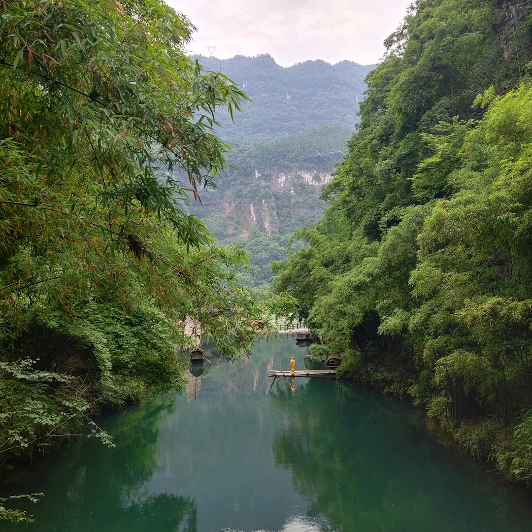欠你一个未来
