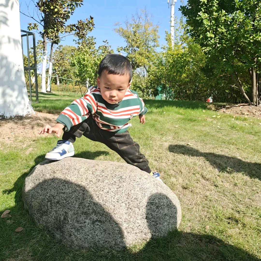 小涛涛努力奋斗