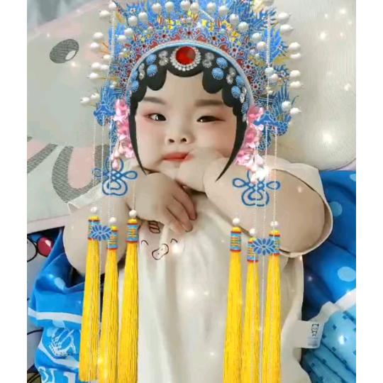 燕南飞的小蝴蝶