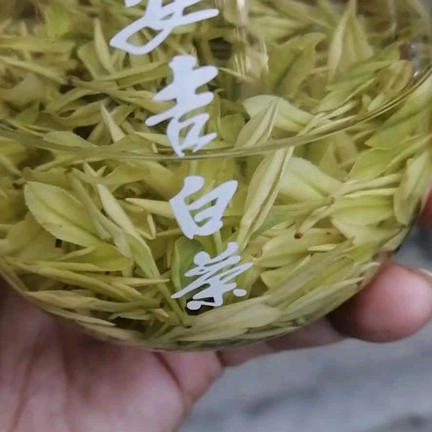 苏杭茶庄，