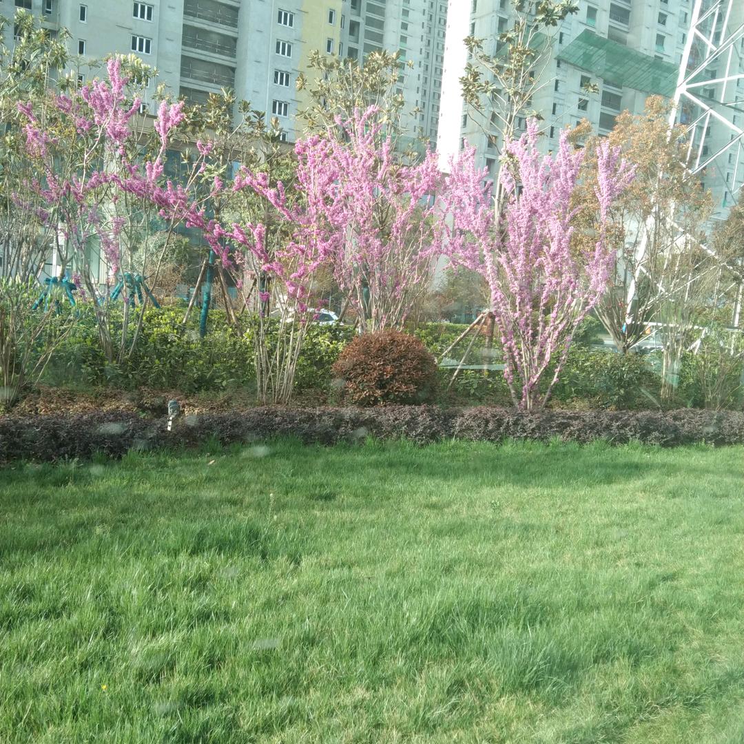 爱看你节目的观众