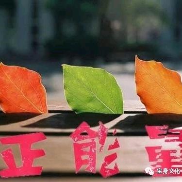 自律,修净土。