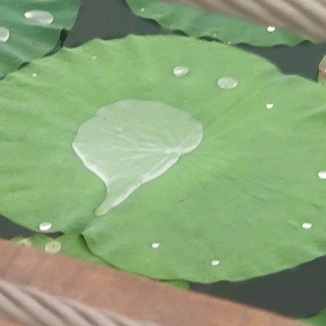 一笑而过