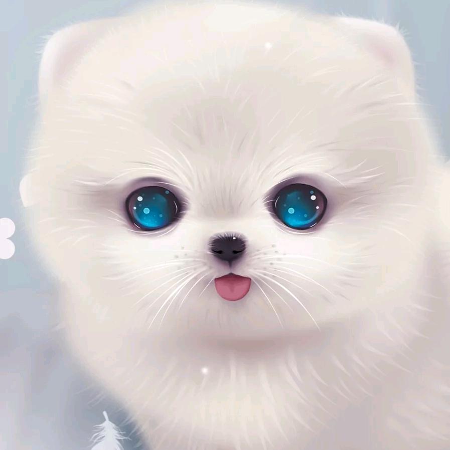 迷妹