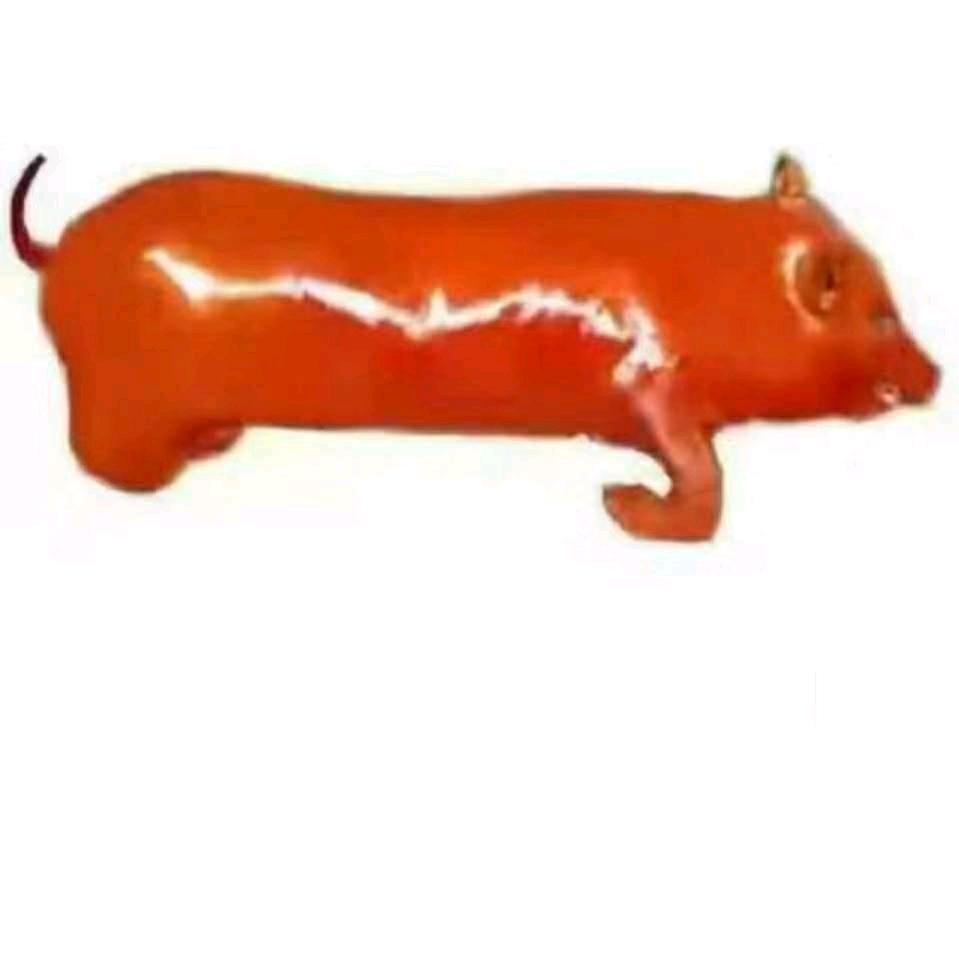 随便你