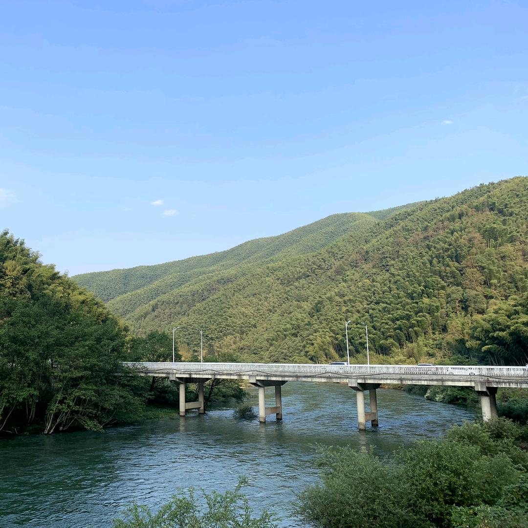 所剩无几