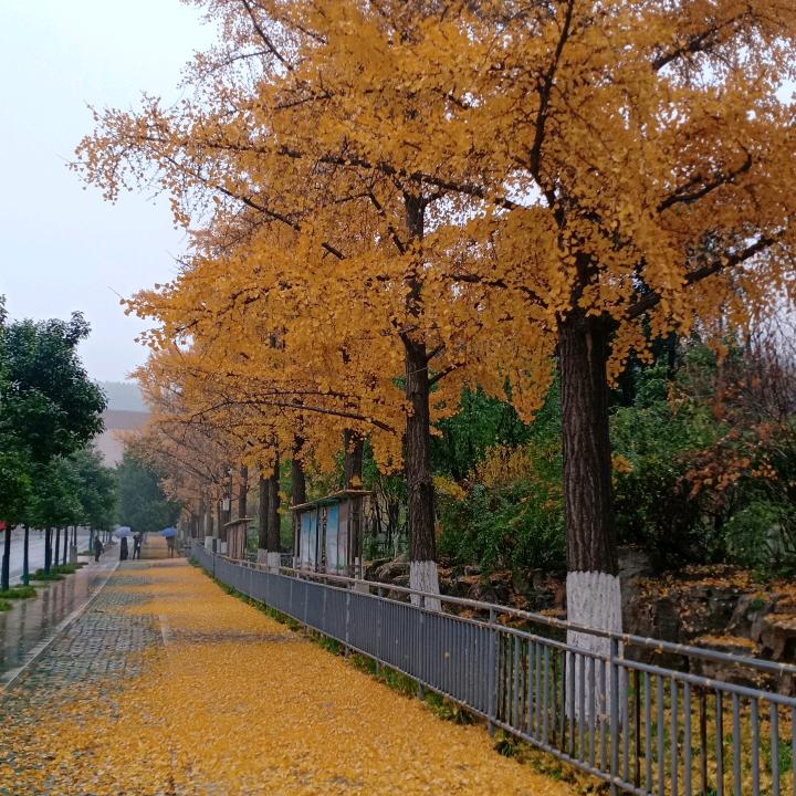 春暖花开xyj