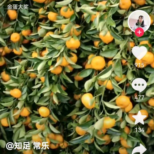 领悟64441