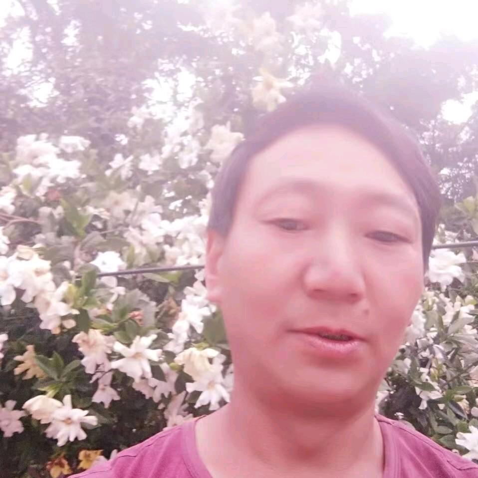 浑身解数