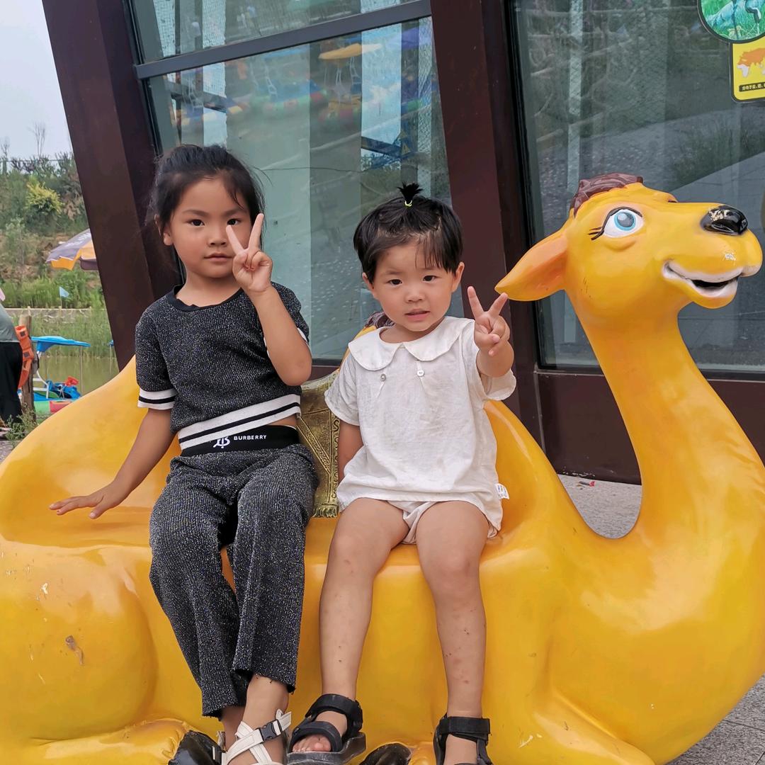 巧丽