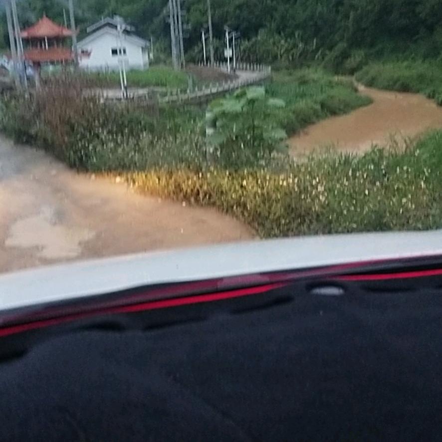 一生钟情