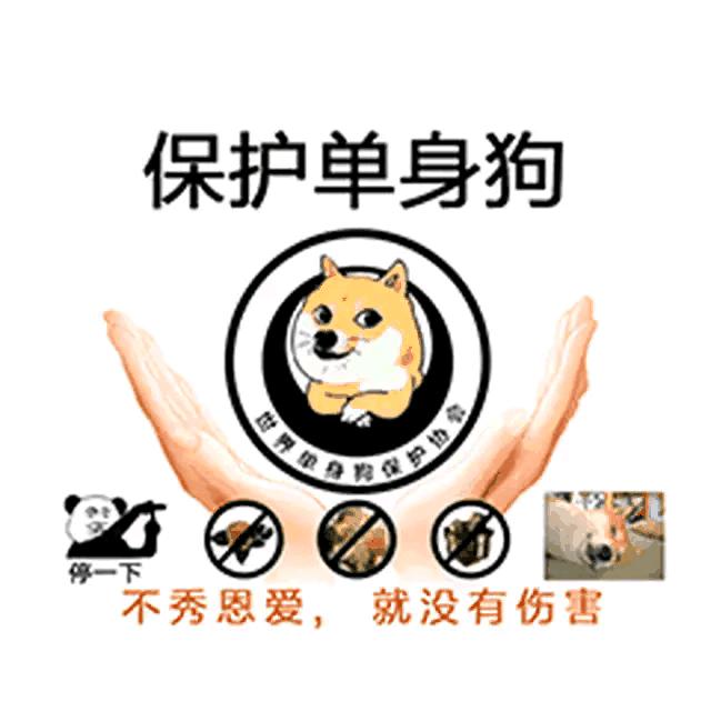 紫帝