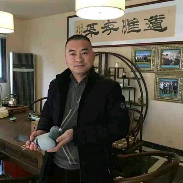 宝来强兴鸽业-南志强