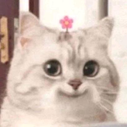 (๑><๑）