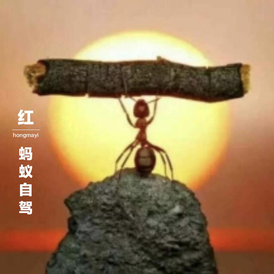 红蚂蚁（自驾领队）