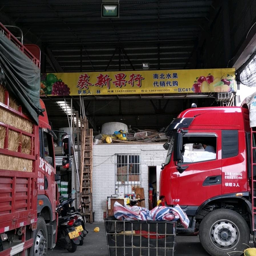 广东江门市《葵新果行》