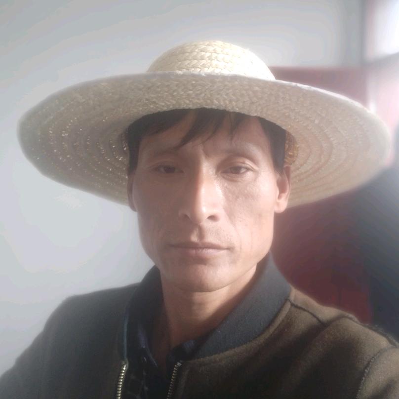 一见如故