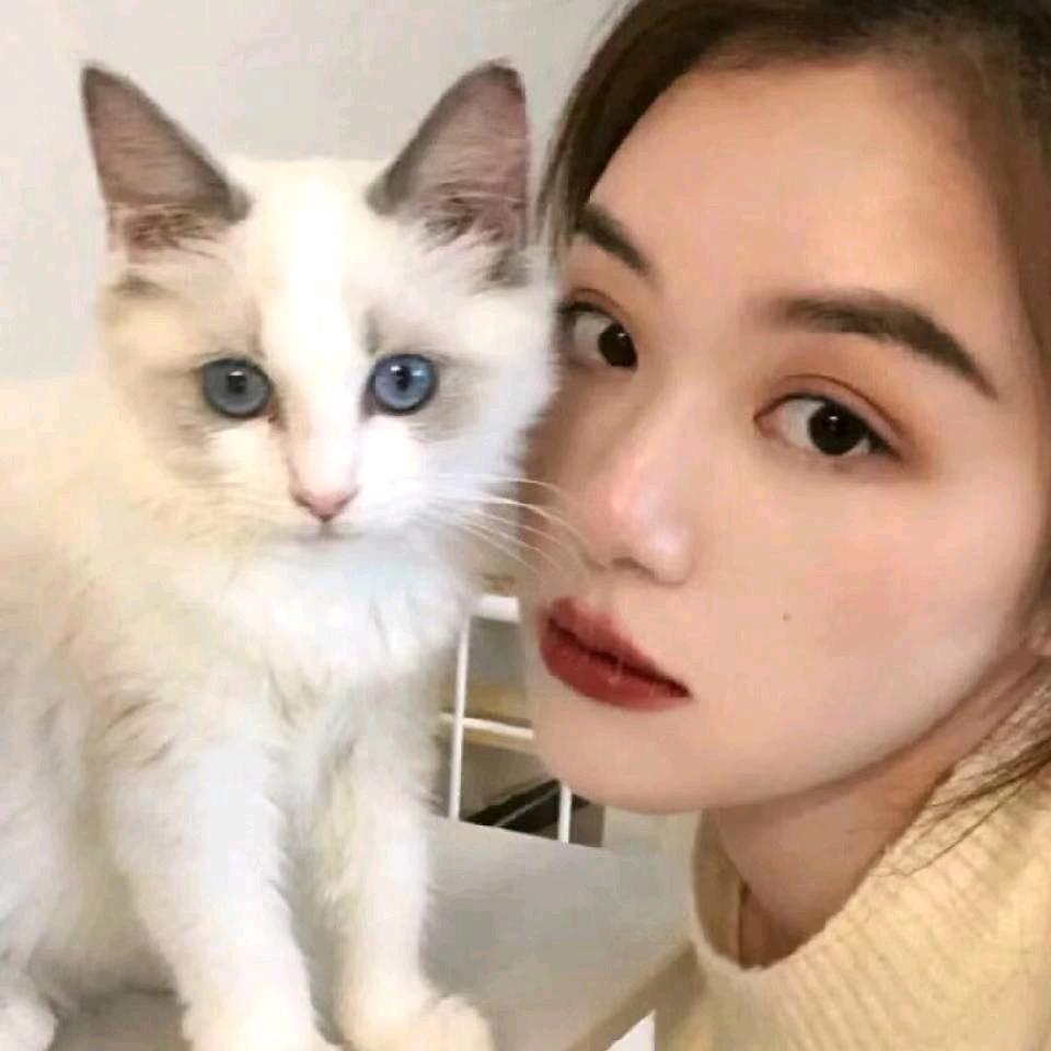 猫🐱
