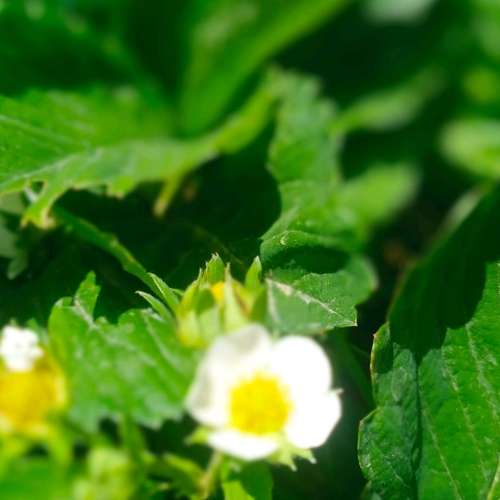 壹貳叁肆（51120）