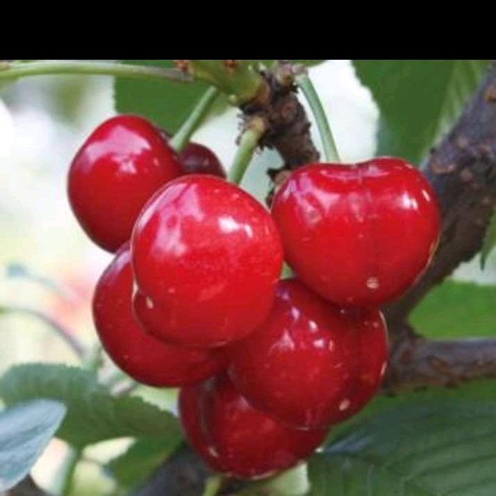 美满幸福🌺🌺