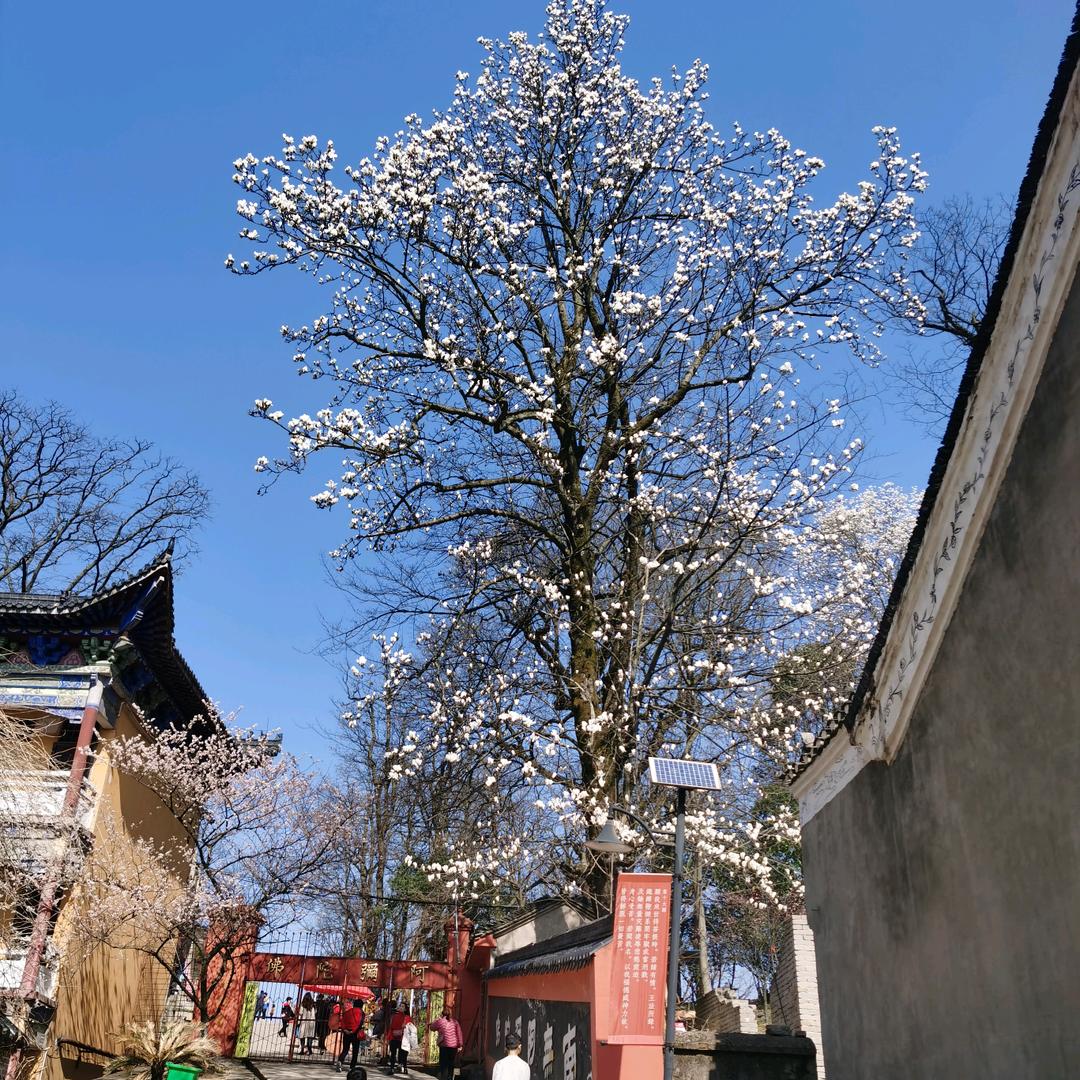 夕阳美得像遗憾