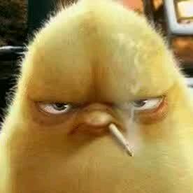 刷哈一歌（狂炒）