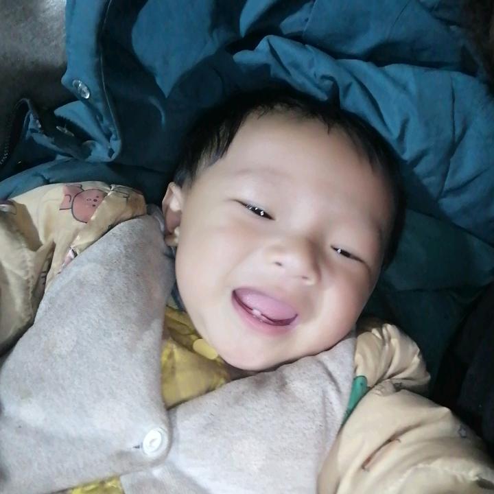 ༺རྟ་རྒོད་༻