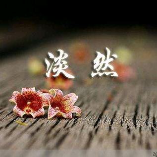 风铃草