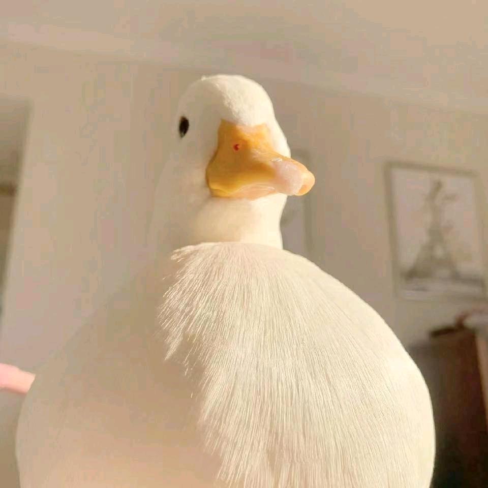 陆一