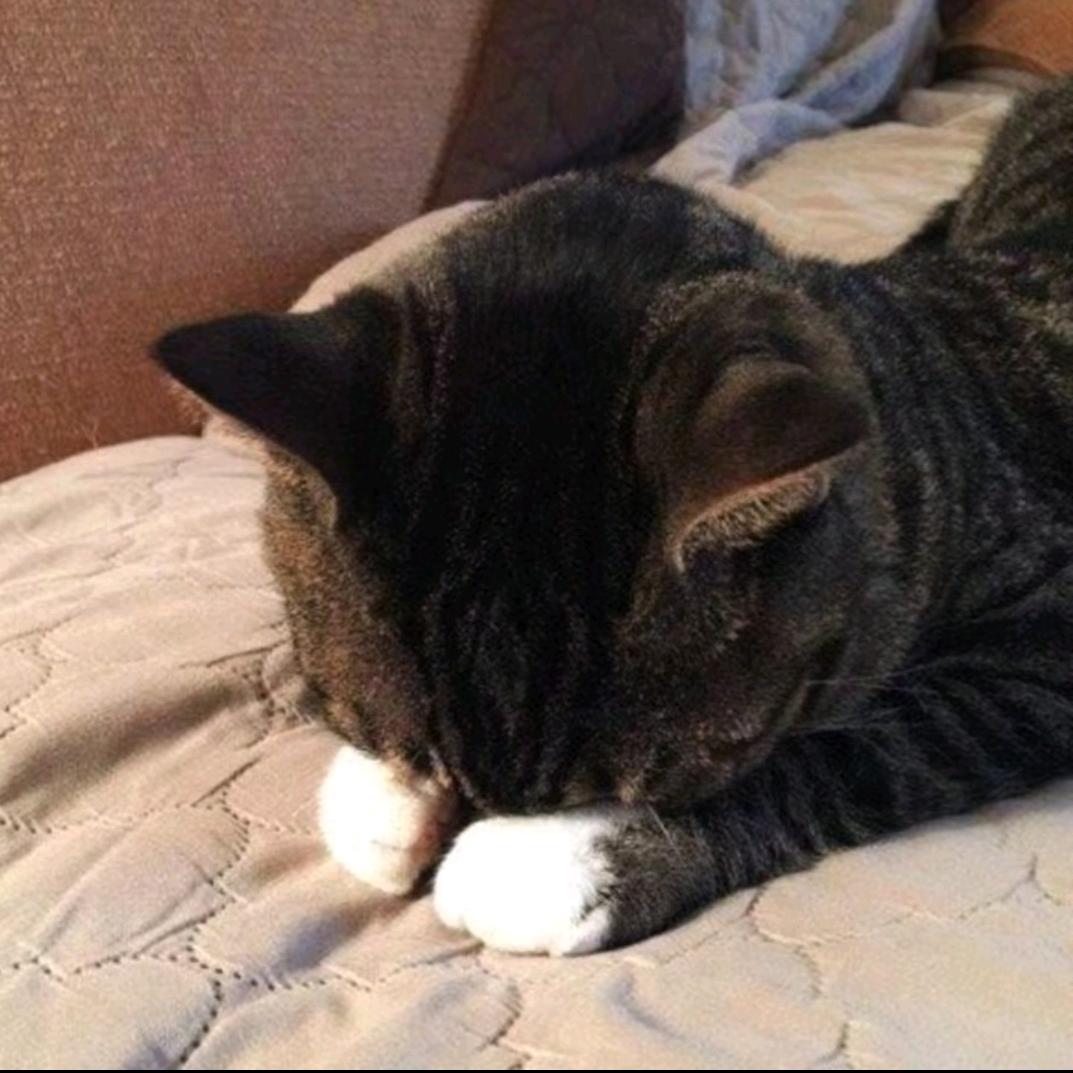 爱喝酸奶的左丘清润