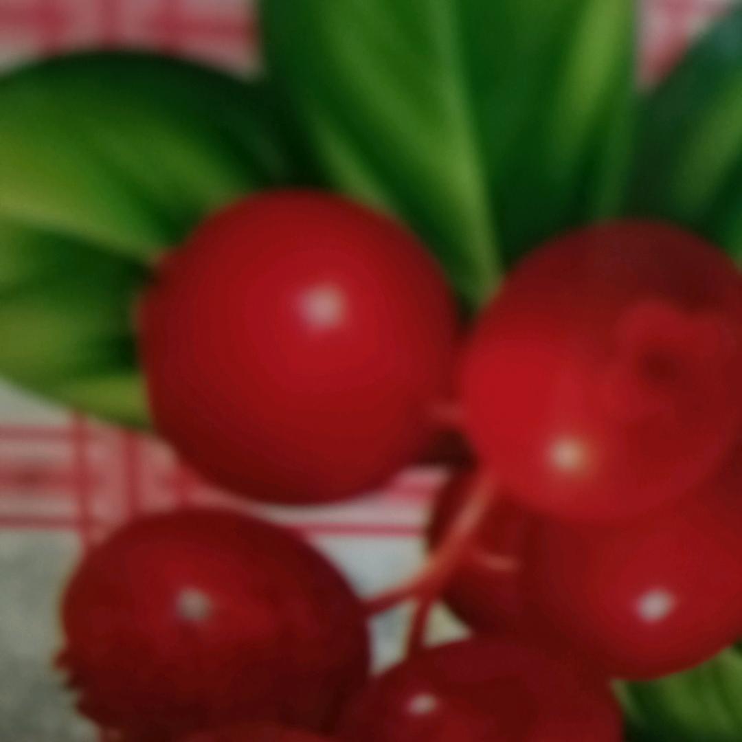 随心