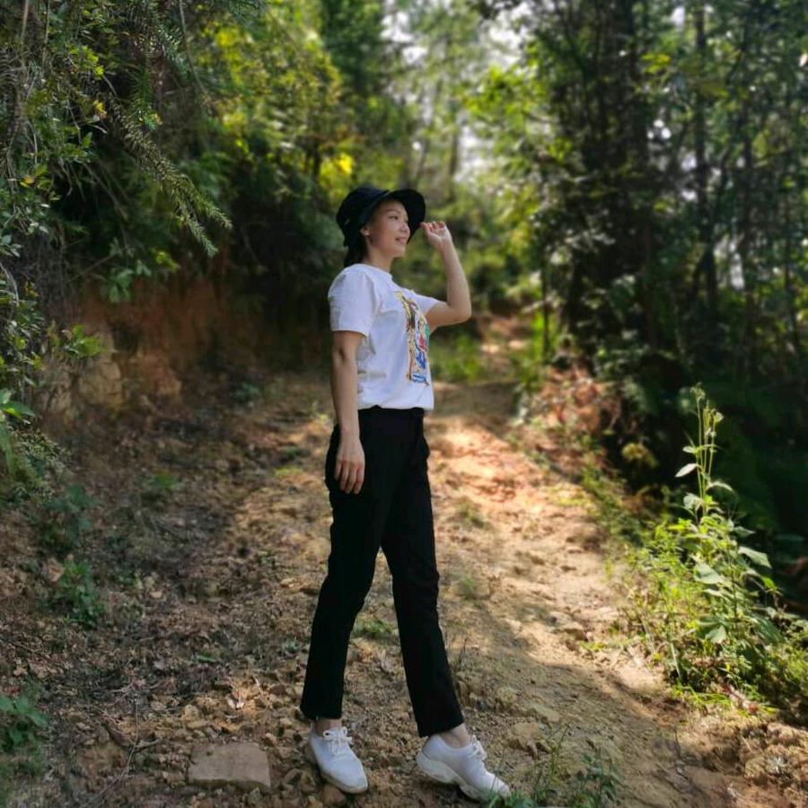 四叶草的小星星