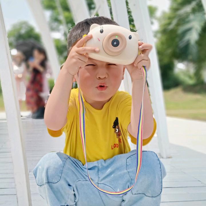 三分淑女 七分暴力