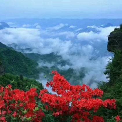 知足快乐
