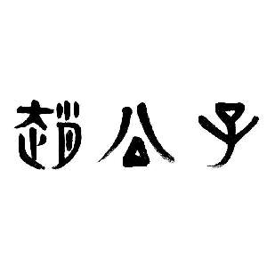赵公子除甲醛