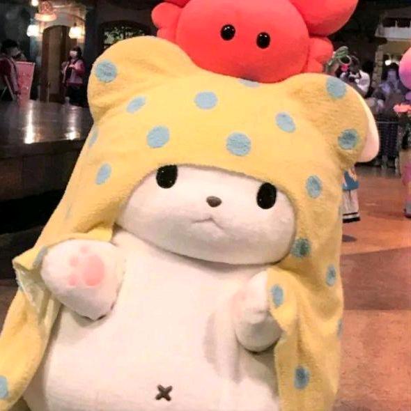 小喵咪QAQ