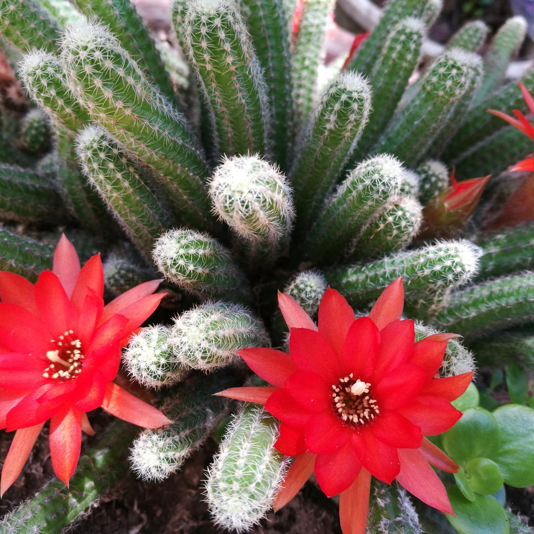 m9(´∀｀)就是你