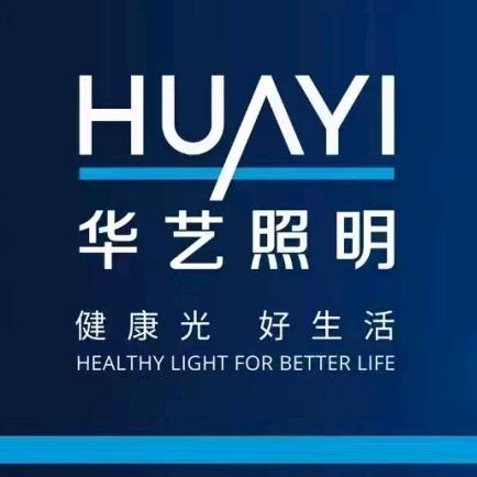 武穴华艺照明雪